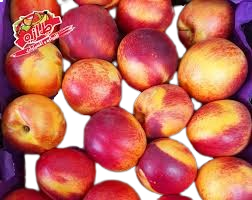 خوخ ونكترين كشف مصري